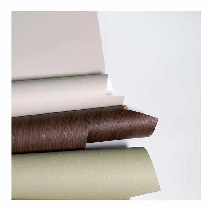 PP ගෘහ චිත්රපට නවීන නිවාස සඳහා ස්මාරක තේරීමක් වන්නේ ඇයි?